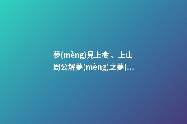 夢(mèng)見上樹、上山　周公解夢(mèng)之夢(mèng)到上樹、上山